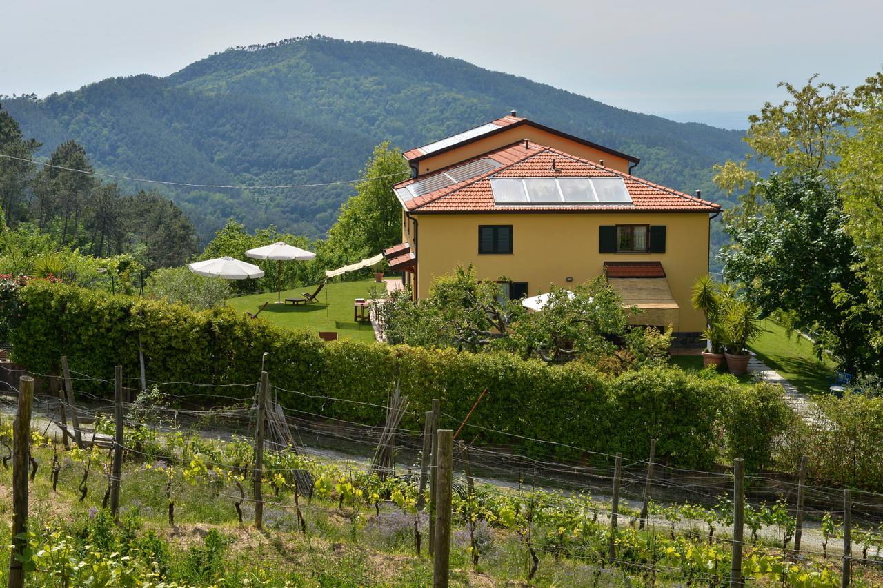 Il Laghello Di Amina Villa Framura Bagian luar foto