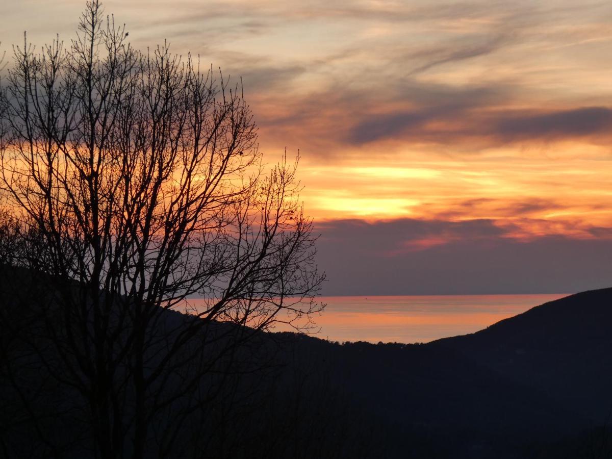Il Laghello Di Amina Villa Framura Bagian luar foto