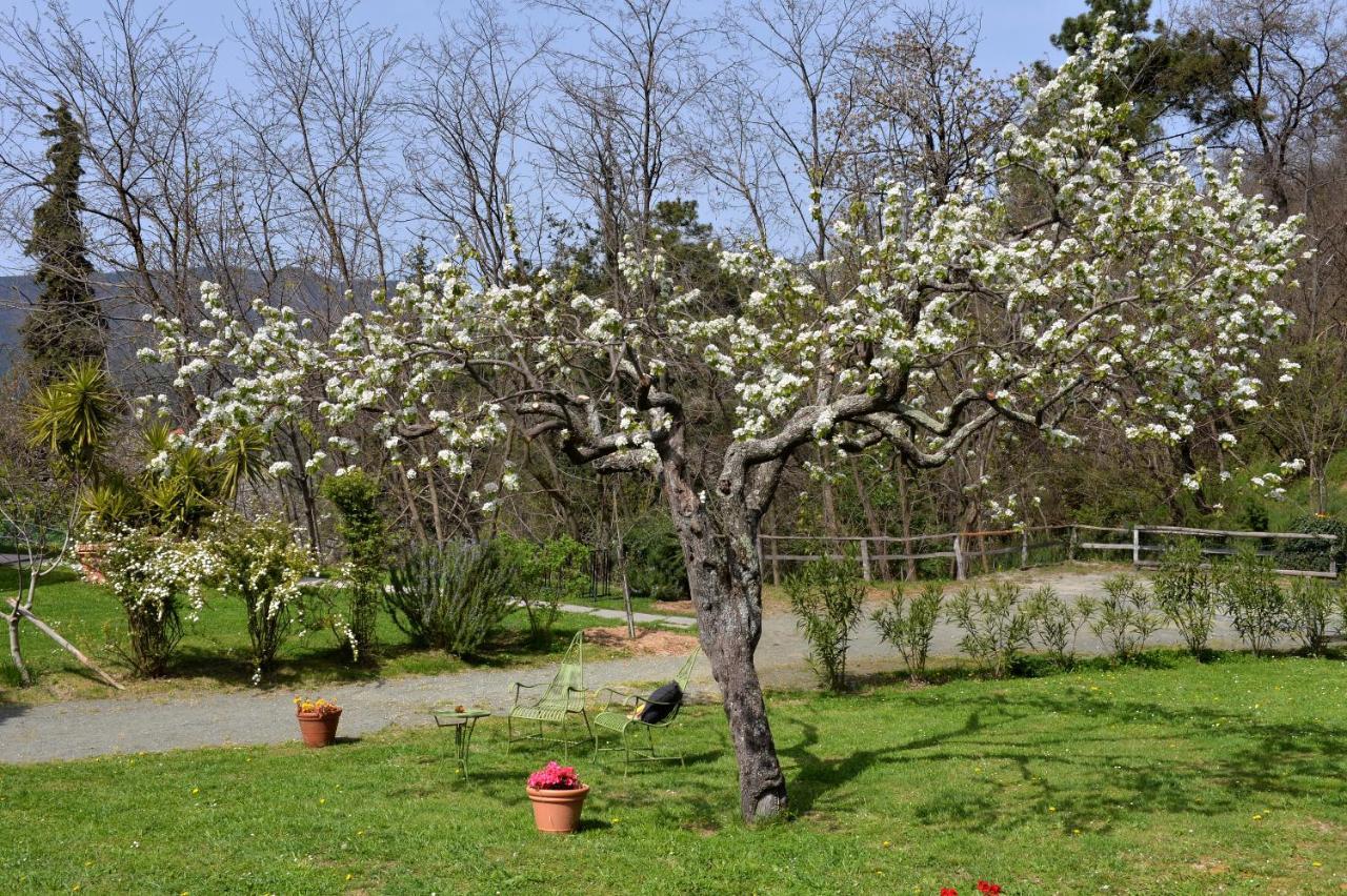 Il Laghello Di Amina Villa Framura Bagian luar foto