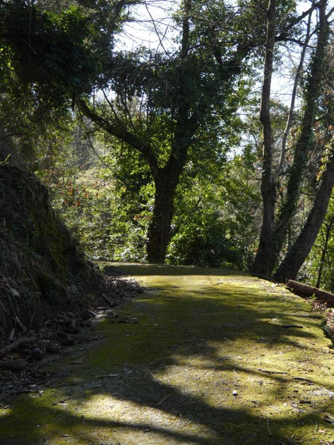 Il Laghello Di Amina Villa Framura Bagian luar foto